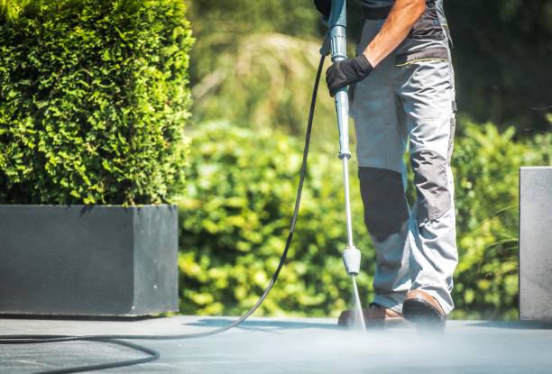 Best Paint Preparation  in Anson, TX